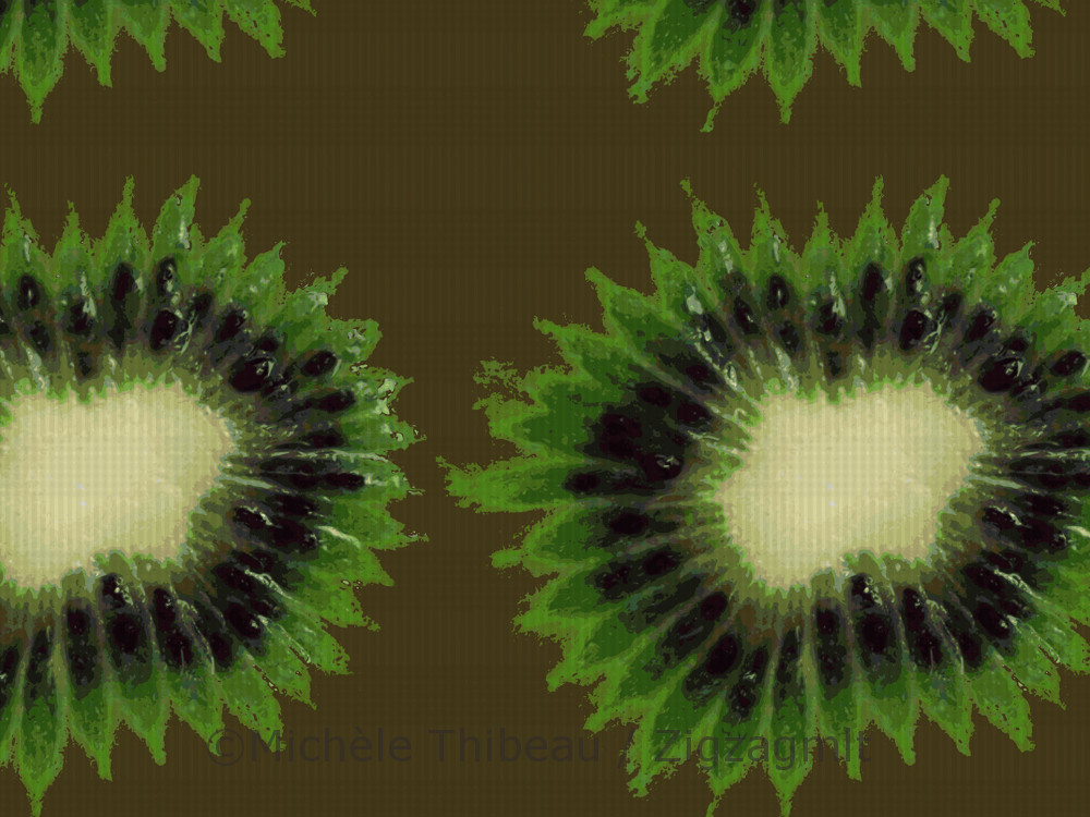 A pattern from the Fall for Kiwi Collection, created in 2015. Inspired and developed from an image taken of a kiwi.